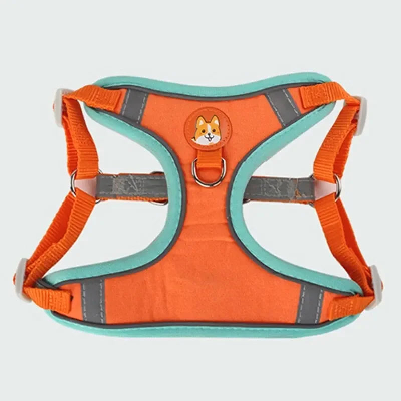 Reflective pet vest harness for small dogs and cats with retractable lead