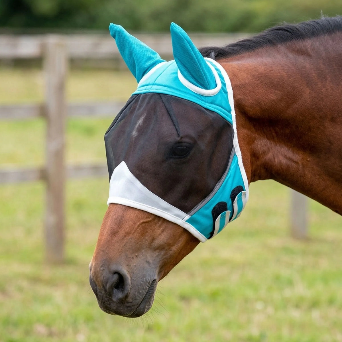 Horse fly mask with fine mesh face panel and shaped ear covers