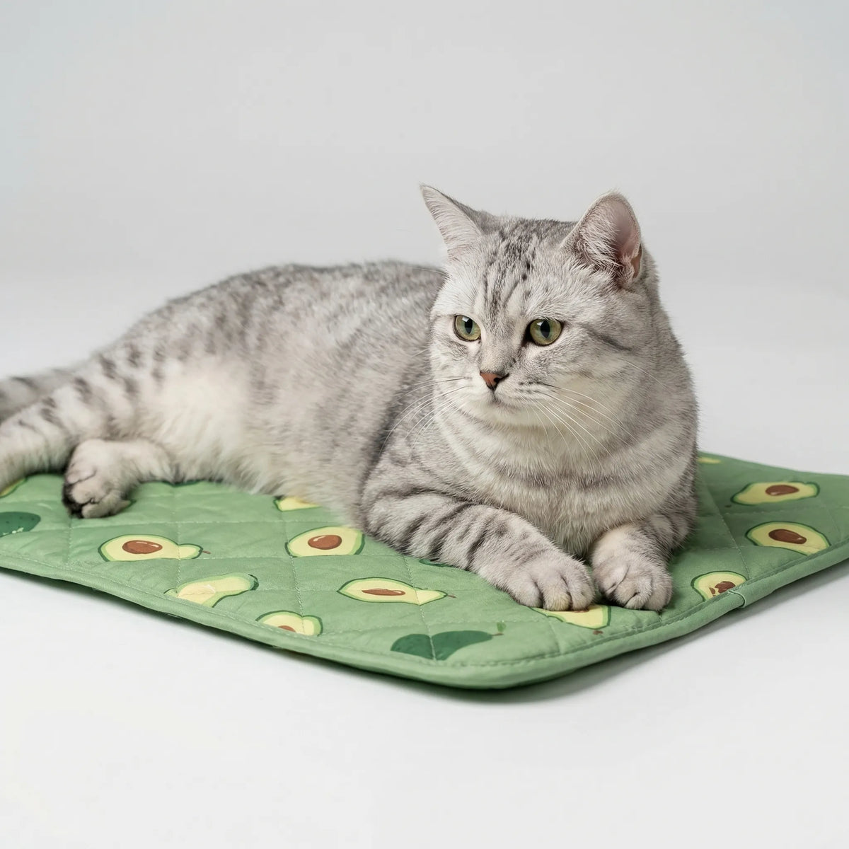 Breathable cooling mat for pets with quilted fabric and printed design
