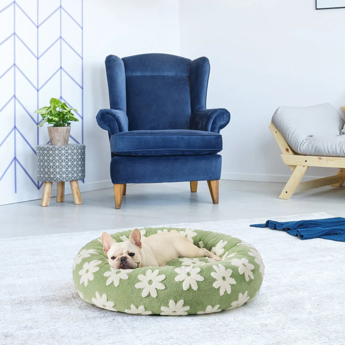 Round plush dog bed for small dogs with raised bolster edge non-slip