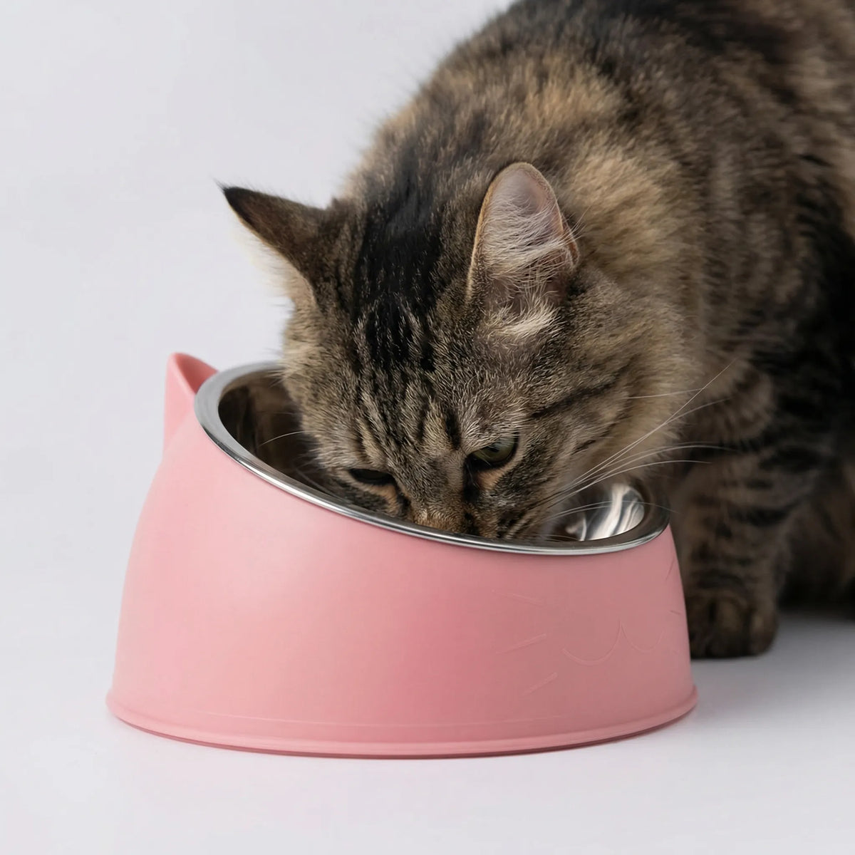 Tilted cat food bowl stainless steel non-slip cat ear design