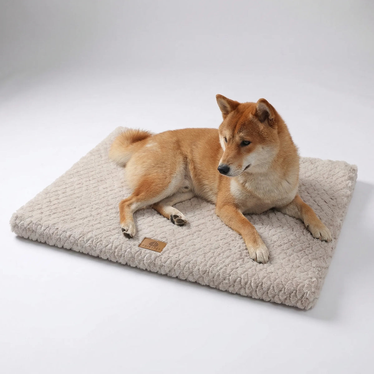 Orthopedic dog bed mat with foam base and washable cover