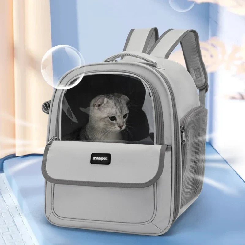 Spacious foldable pet backpack with breathable mesh and bubble window