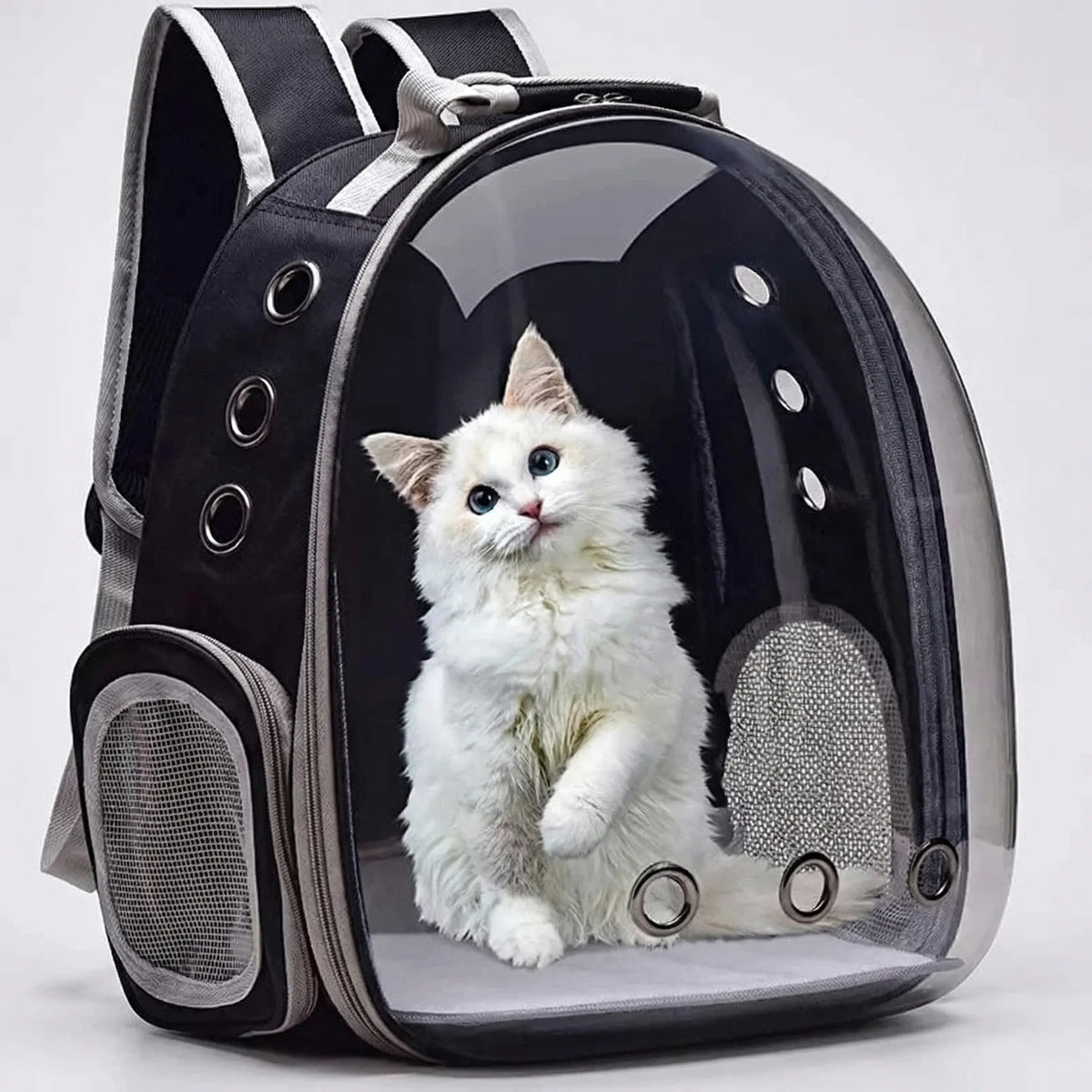 Pet backpack with transparent bubble window and ventilation for small animals