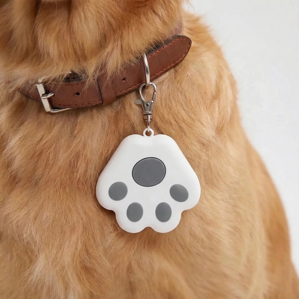Paw-shaped Bluetooth tracker for pets and keys with proximity alert