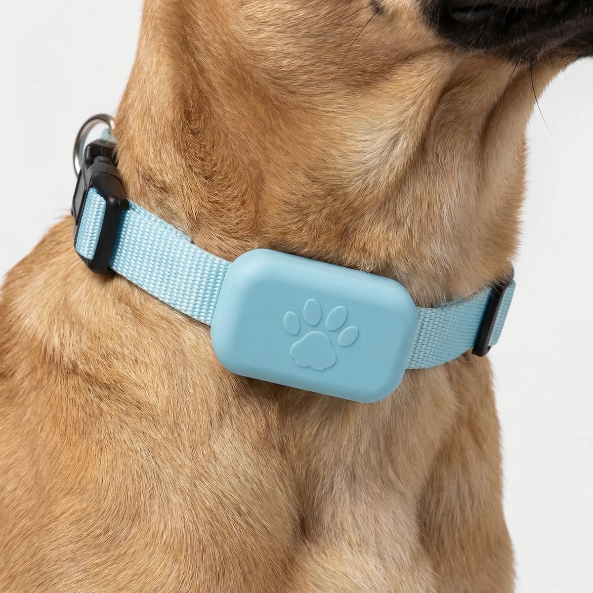 Mini waterproof GPS pet tracker with compact clip-on collar design
