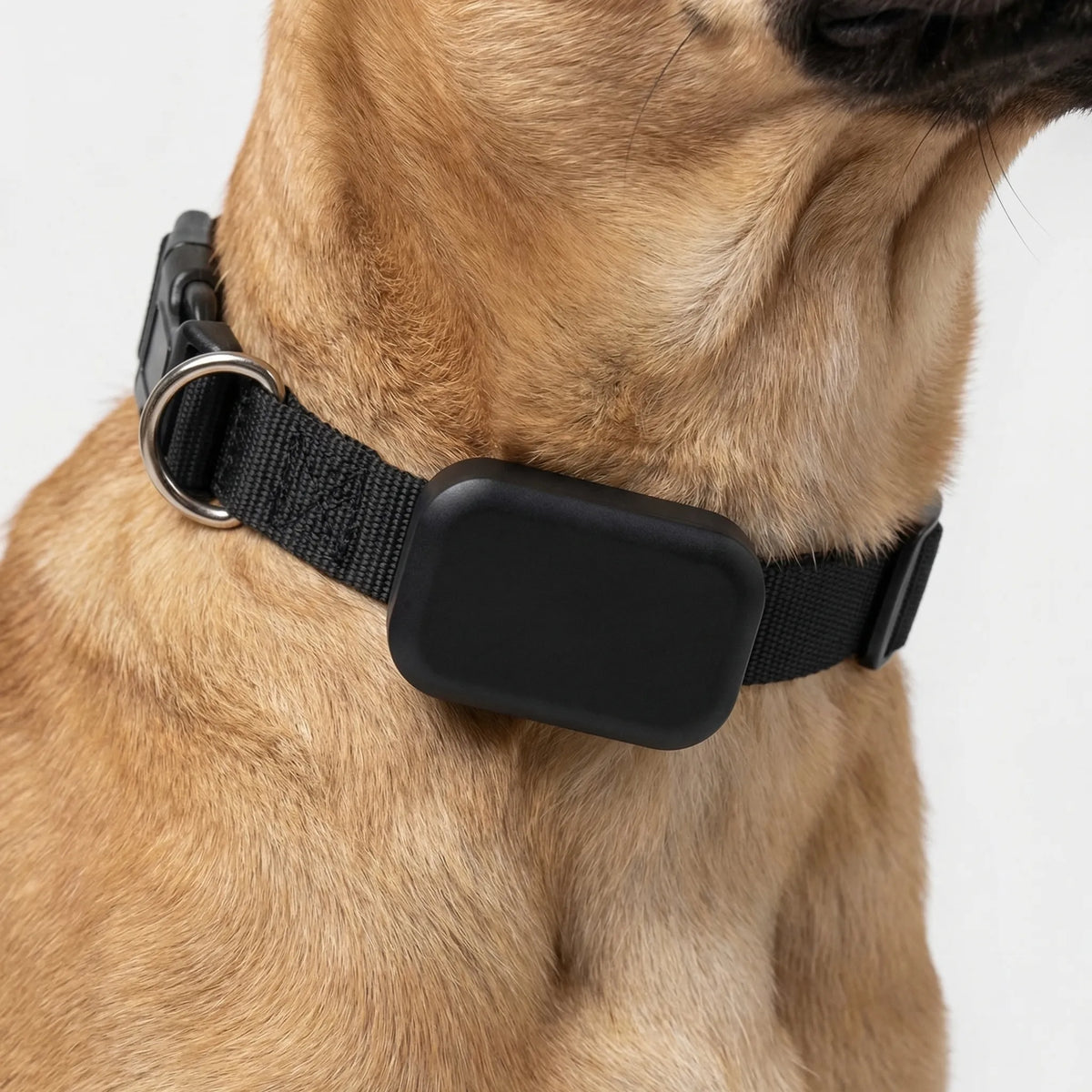 Mini waterproof GPS pet tracker with compact clip-on collar design