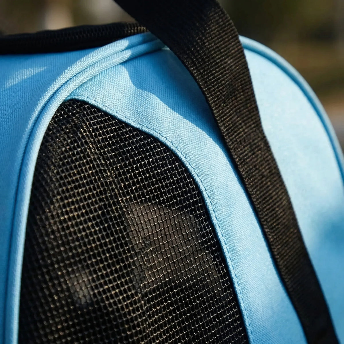 Collapsible pet carrier bag with mesh side panels for small dogs and cats