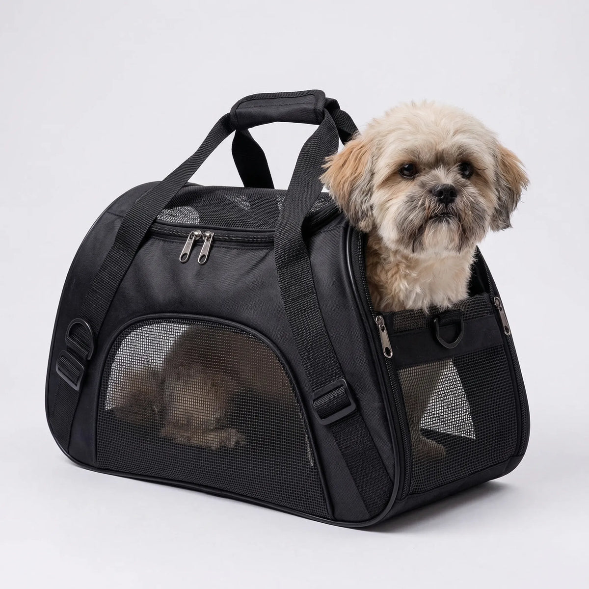 Collapsible pet carrier bag with mesh side panels for small dogs and cats