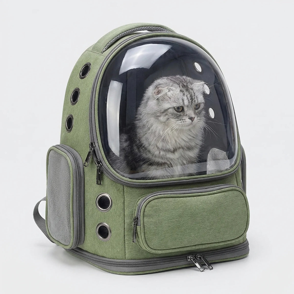 Pet travel backpack with transparent window and ventilation