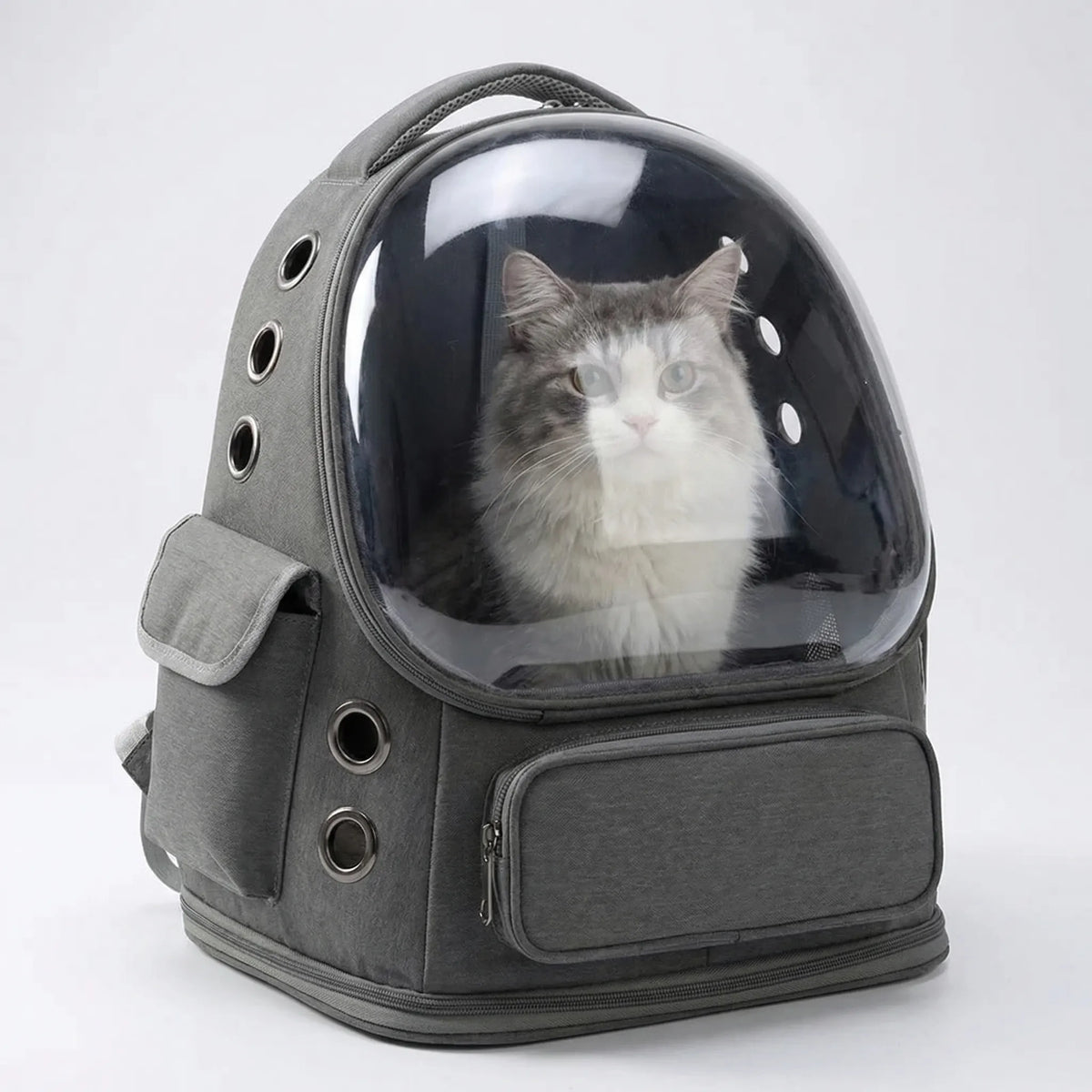 Pet travel backpack with transparent window and ventilation