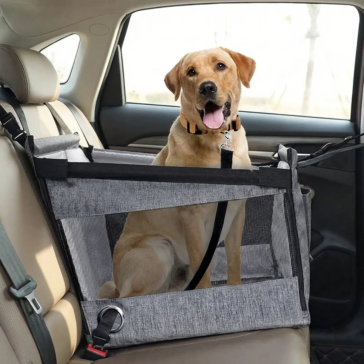 Dog car carrier with breathable mesh sides and water-resistant base