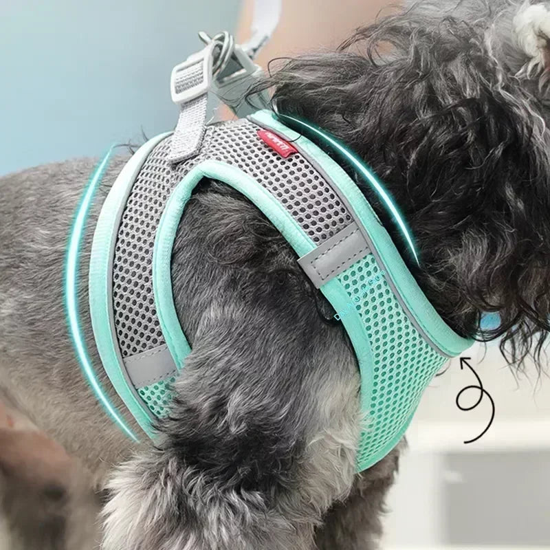 Adjustable vest harness with matching lead for small dogs and cats