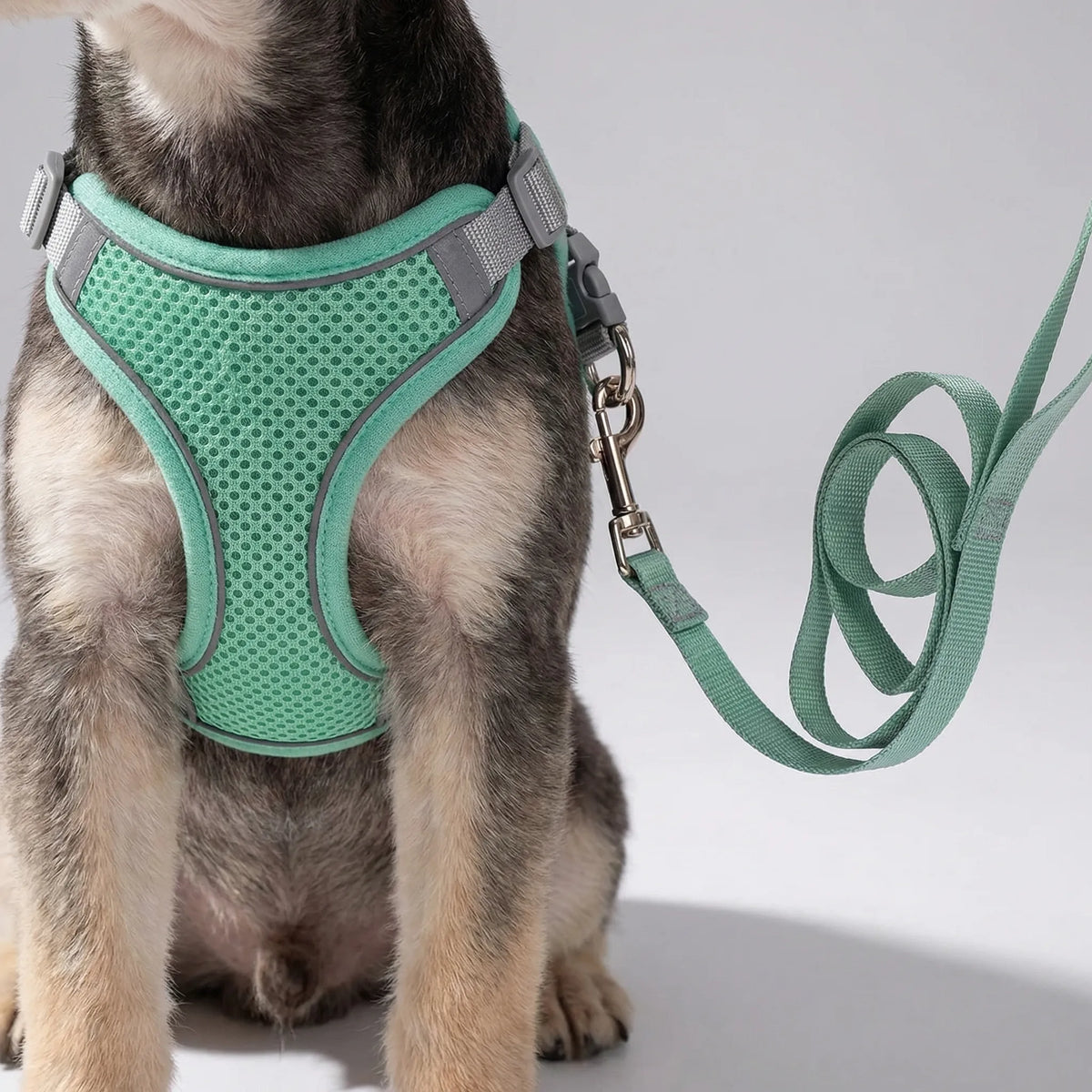 Adjustable vest harness with matching lead for small dogs and cats