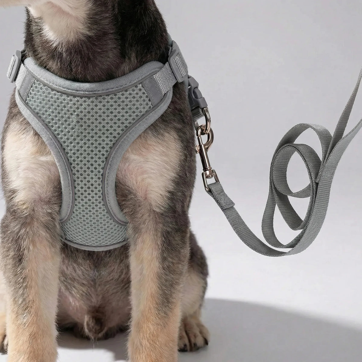 Adjustable vest harness with matching lead for small dogs and cats