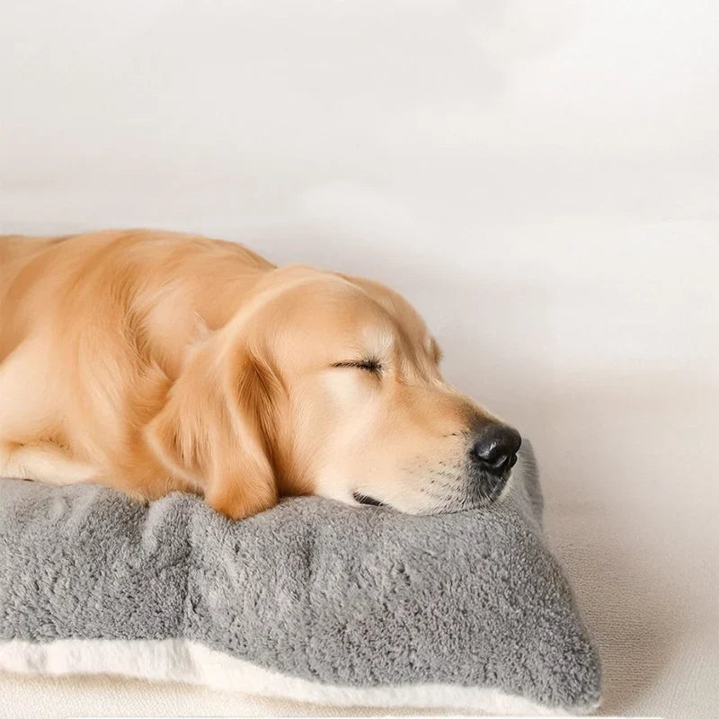 Extra large flat plush dog bed with quilted padding for all breeds
