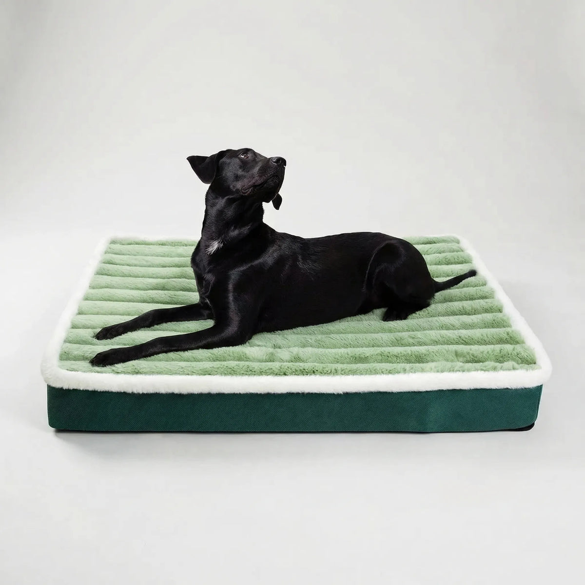 Rectangular pet foam mattress with removable plush cover