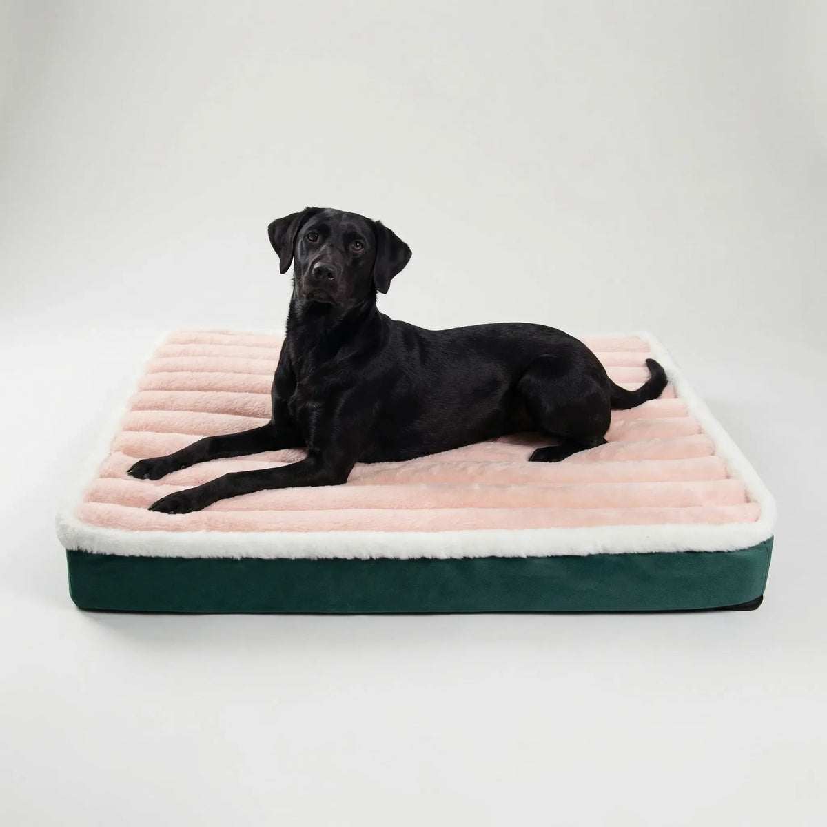 Rectangular pet foam mattress with removable plush cover