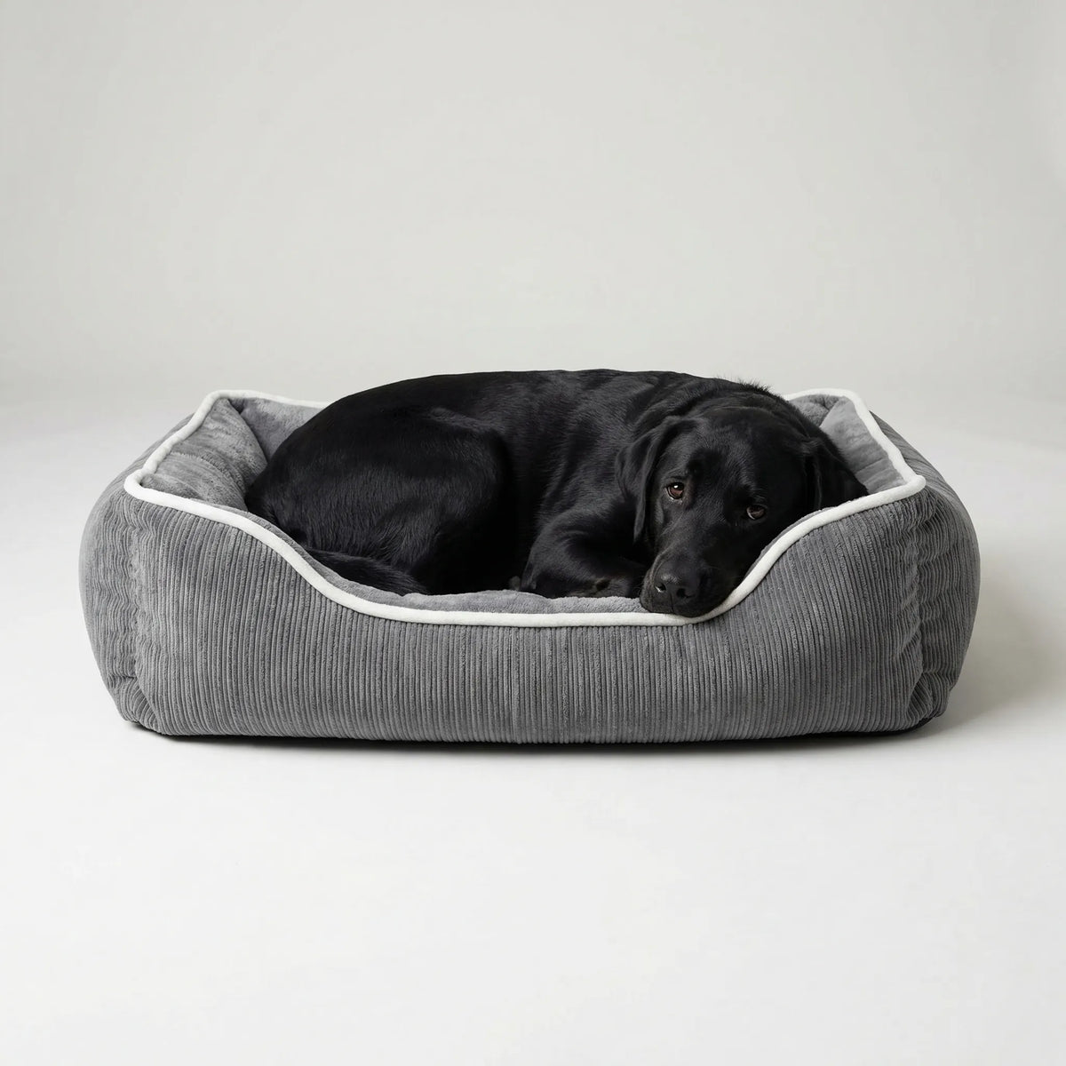 Rectangular pet foam mattress with removable plush cover