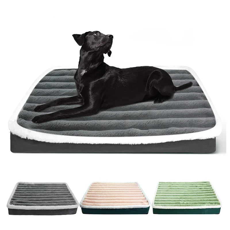 Rectangular pet foam mattress with removable plush cover