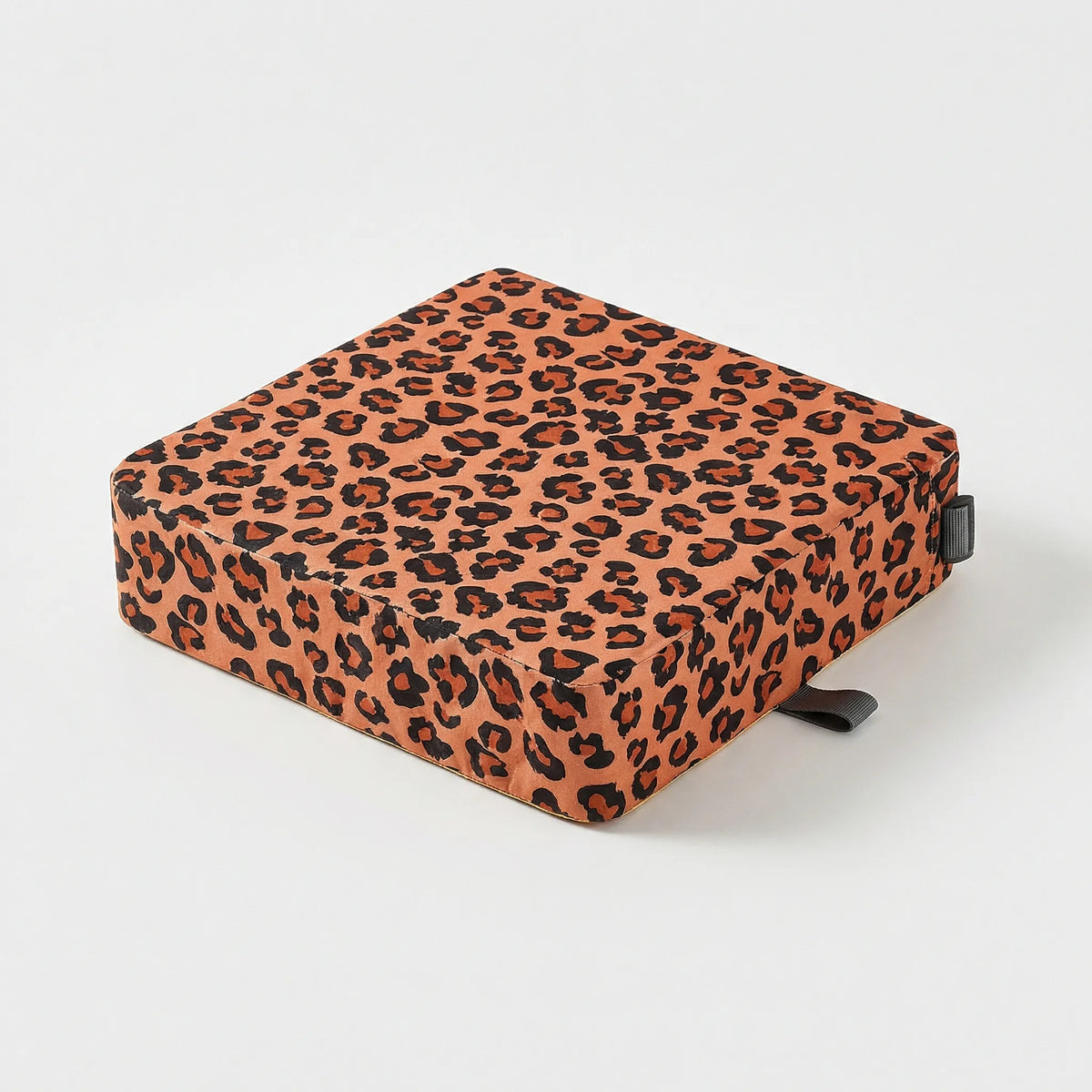 Portable booster seat cushion with water-resistant surface and adjustable straps
