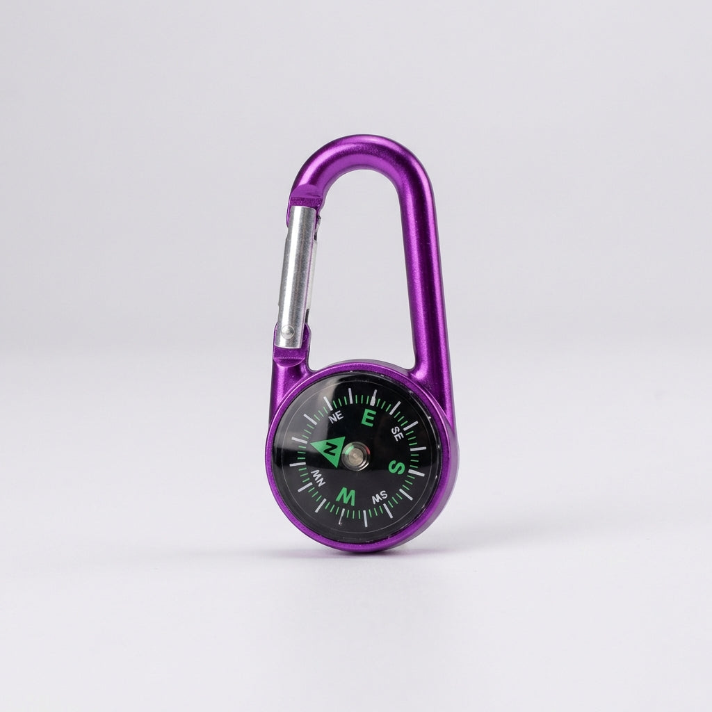 Mini carabiner compass keychain with spring gate attachment
