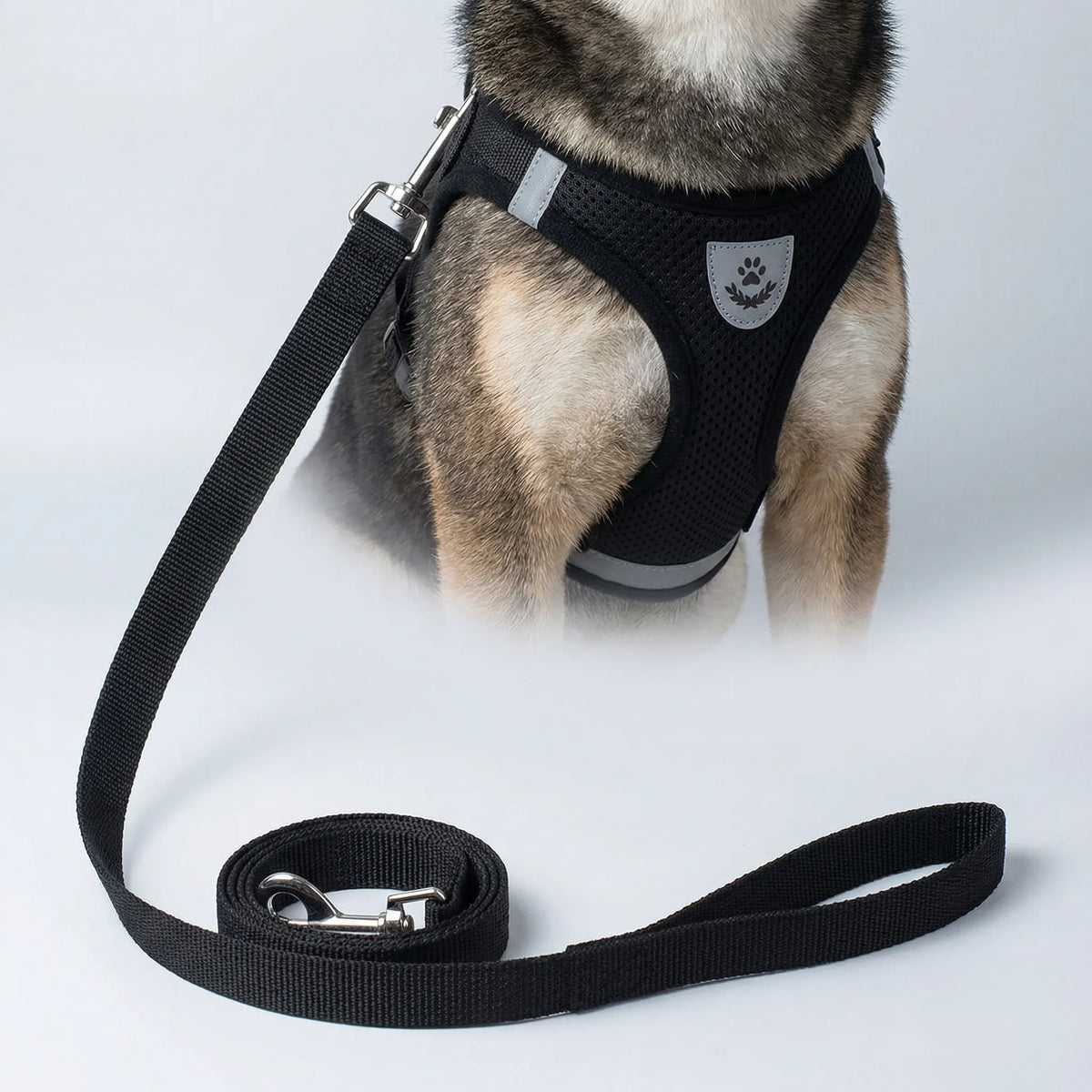 Breathable mesh vest harness and lead set for small dogs and cats