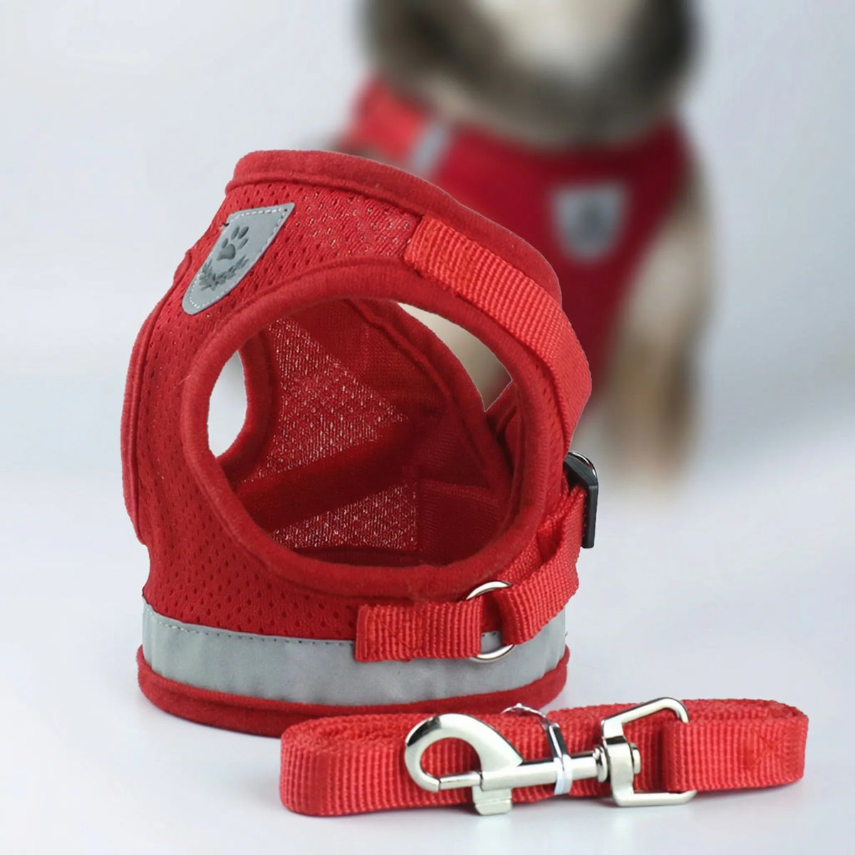 Breathable mesh vest harness and lead set for small dogs and cats