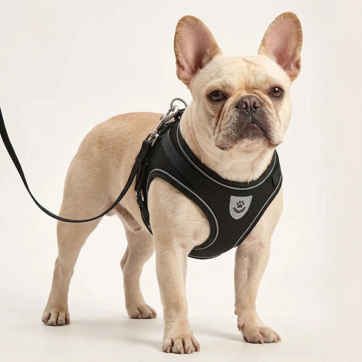 Breathable mesh vest harness and lead set for small dogs and cats