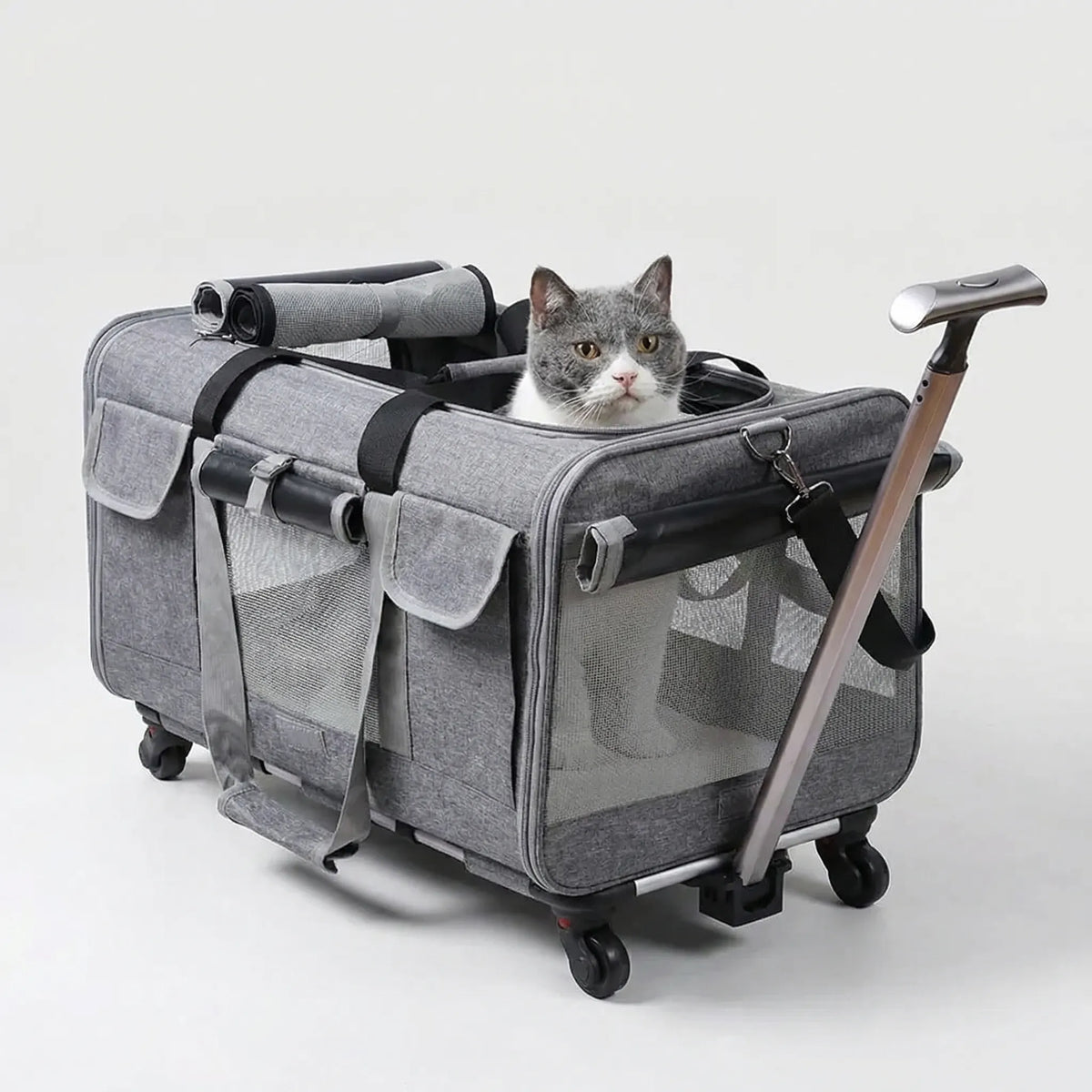 Extra large pet trolley case with ventilated mesh and detachable wheeled frame
