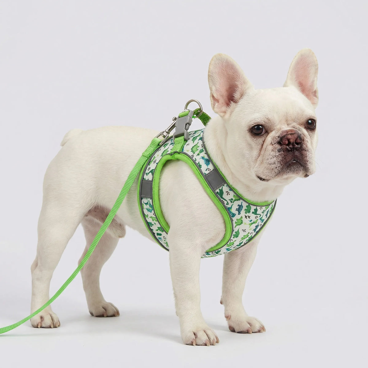 Small dog mesh vest harness with matching lead, reflective trim