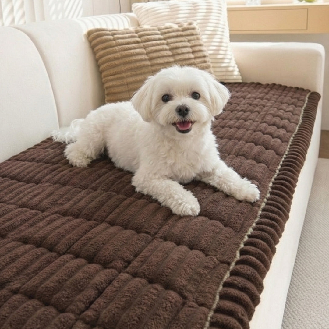 Keep Your Sofa Clean, Soft & Protected