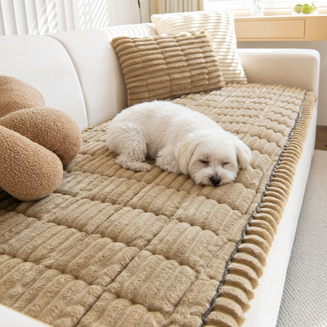 Keep Your Sofa Clean, Soft & Protected