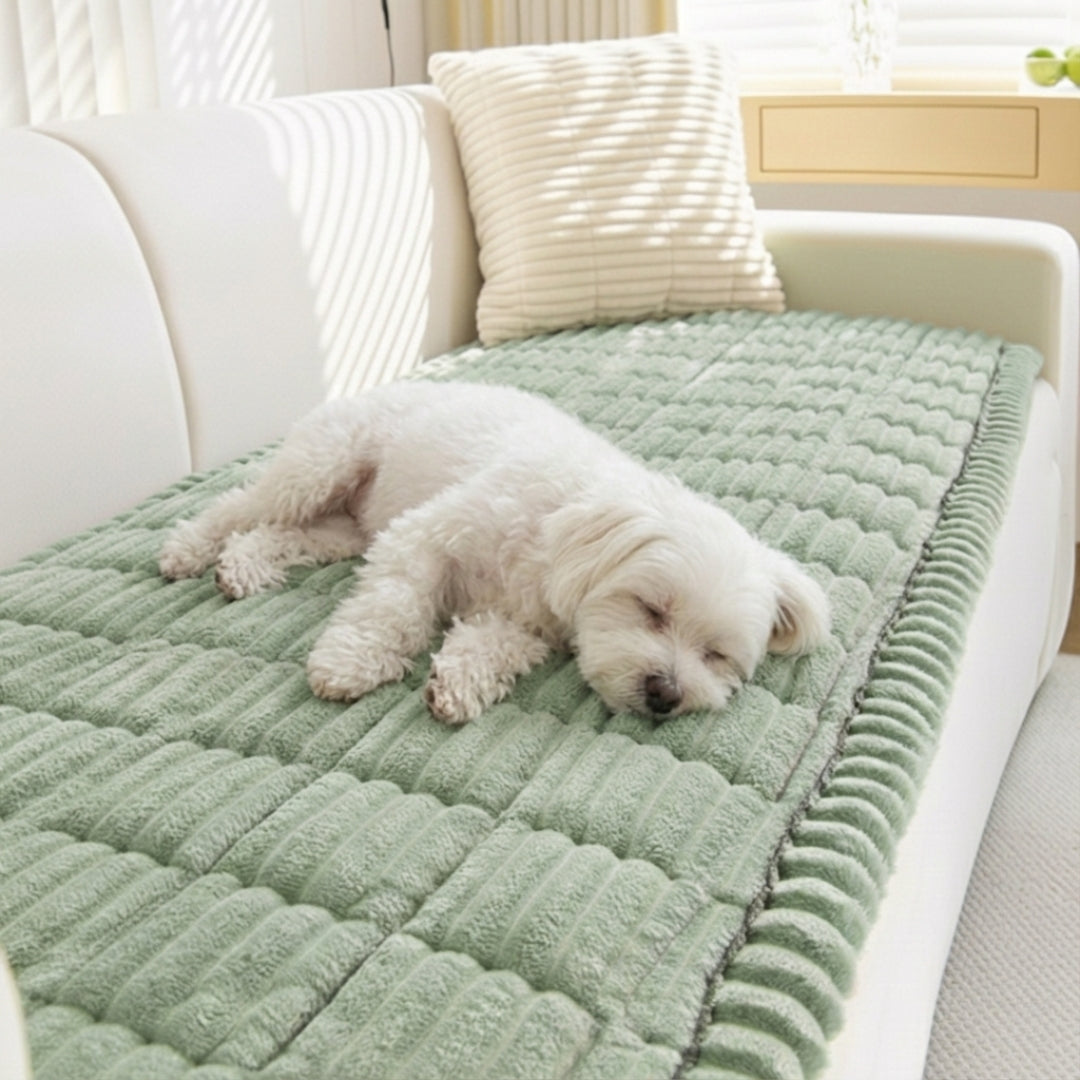 Keep Your Sofa Clean, Soft & Protected