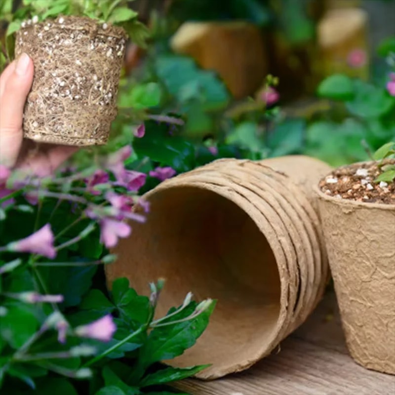 Biodegradable Plant Pots for Seed Cards – 20 Pots, 8 cm